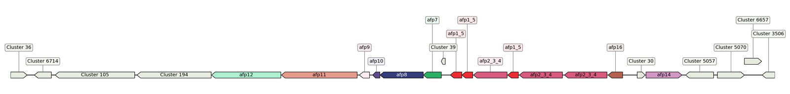 ecis_web_first_app/static_ims/operonID_16178.jpeg