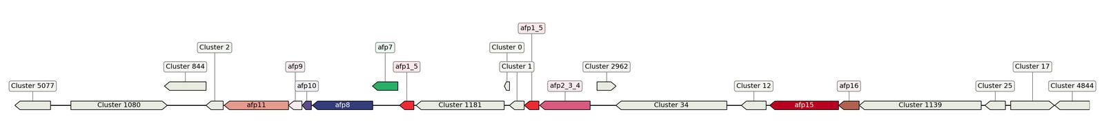 ecis_web_first_app/static_ims/operonID_16659.jpeg