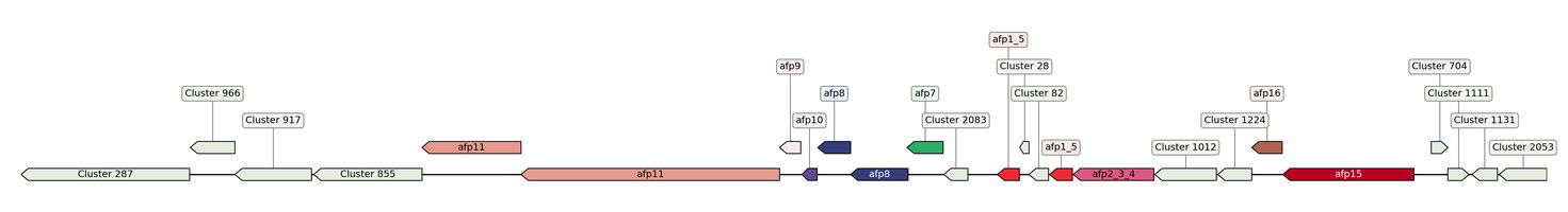 ecis_web_first_app/static_ims/operonID_16901.jpeg