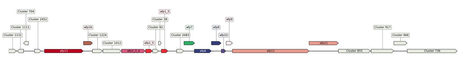 ecis_web_first_app/static_ims/operonID_16906.jpeg