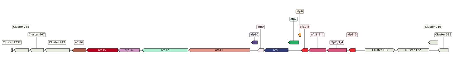 ecis_web_first_app/static_ims/operonID_19472.jpeg