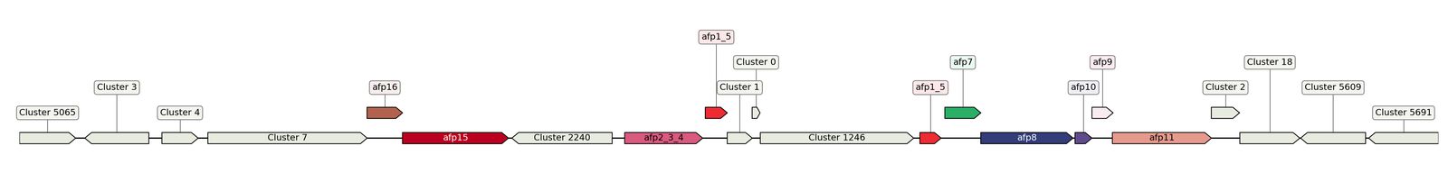 ecis_web_first_app/static_ims/operonID_1980.jpeg