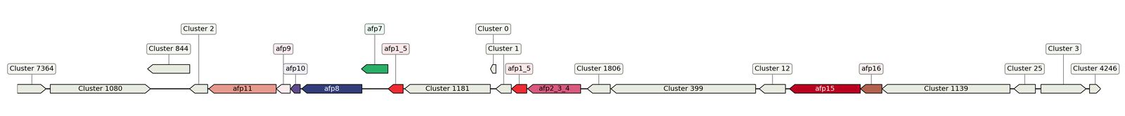 ecis_web_first_app/static_ims/operonID_20402.jpeg