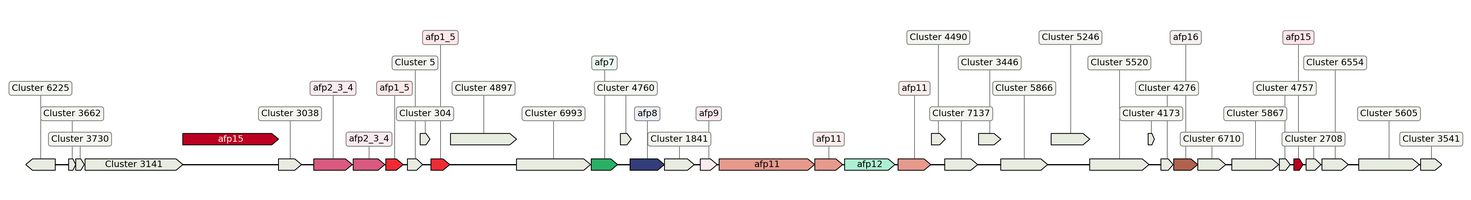 ecis_web_first_app/static_ims/operonID_22476.jpeg