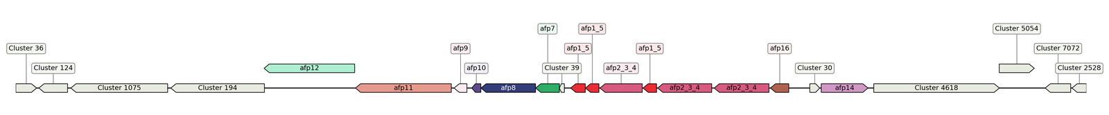 ecis_web_first_app/static_ims/operonID_31335.jpeg