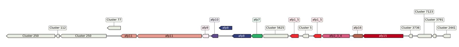 ecis_web_first_app/static_ims/operonID_35361.jpeg