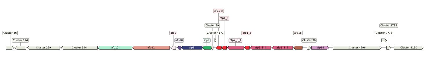 ecis_web_first_app/static_ims/operonID_39303.jpeg