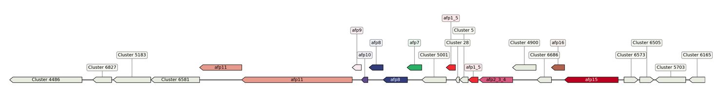 ecis_web_first_app/static_ims/operonID_48144.jpeg