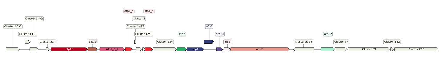 ecis_web_first_app/static_ims/operonID_5453.jpeg