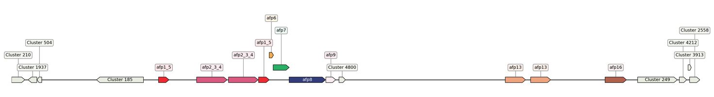 ecis_web_first_app/static_ims/operonID_5481.jpeg