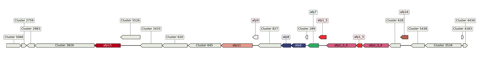 ecis_web_first_app/static_ims/operonID_67817.jpeg