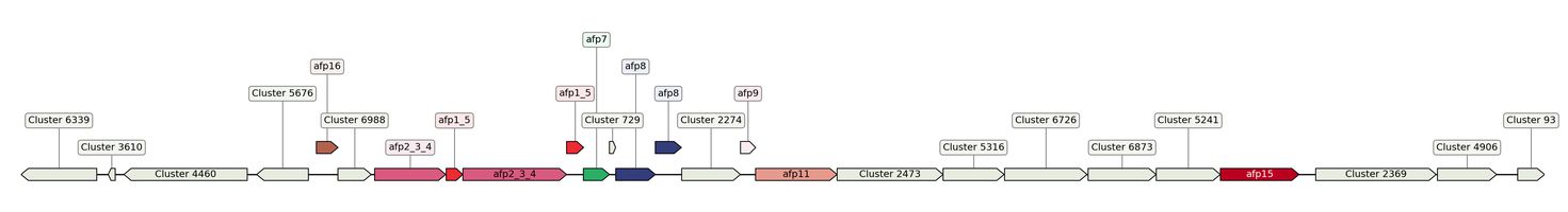 ecis_web_first_app/static_ims/operonID_10607.jpeg