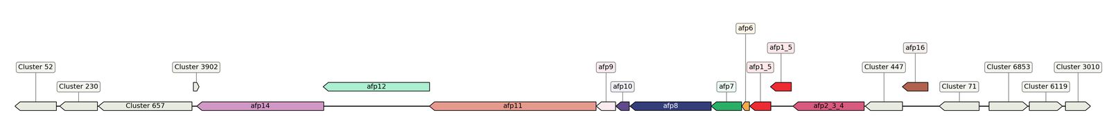 ecis_web_first_app/static_ims/operonID_11093.jpeg