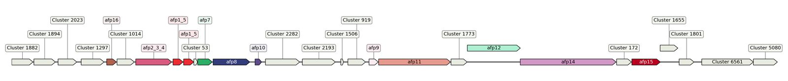 ecis_web_first_app/static_ims/operonID_11973.jpeg