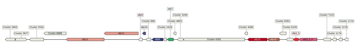 ecis_web_first_app/static_ims/operonID_12724.jpeg