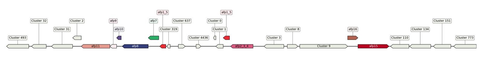 ecis_web_first_app/static_ims/operonID_13291.jpeg