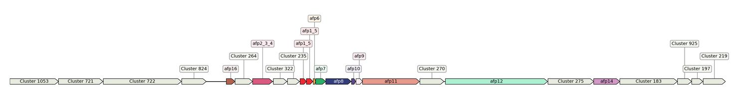 ecis_web_first_app/static_ims/operonID_14873.jpeg