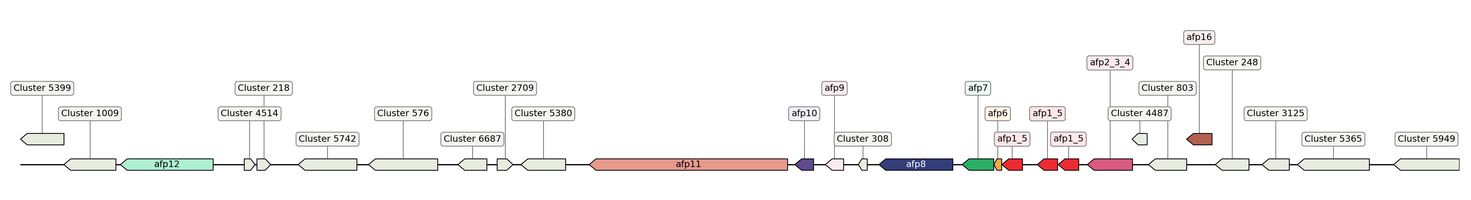 ecis_web_first_app/static_ims/operonID_15620.jpeg