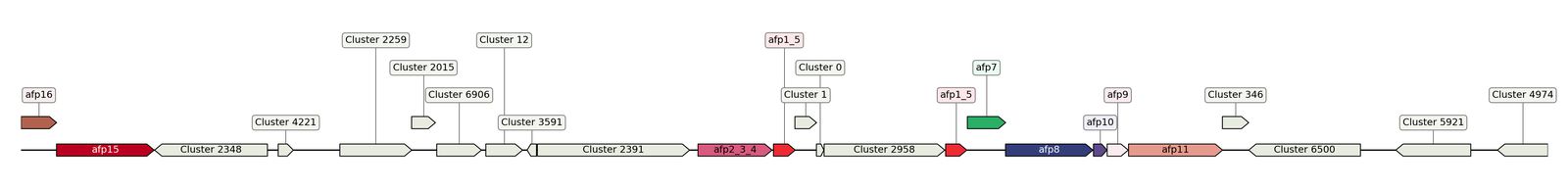 ecis_web_first_app/static_ims/operonID_16562.jpeg