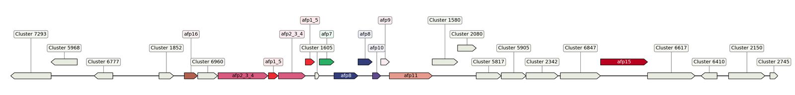 ecis_web_first_app/static_ims/operonID_1677.jpeg