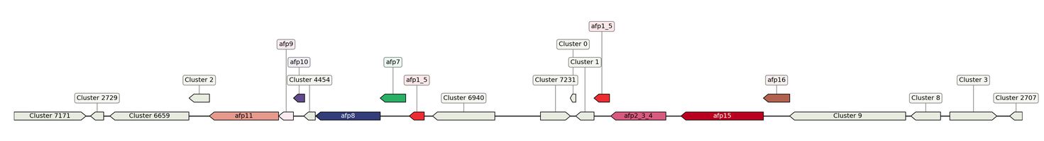 ecis_web_first_app/static_ims/operonID_1685.jpeg