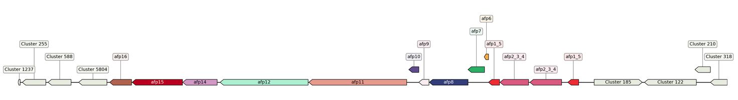 ecis_web_first_app/static_ims/operonID_18615.jpeg