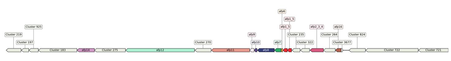 ecis_web_first_app/static_ims/operonID_19390.jpeg