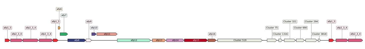 ecis_web_first_app/static_ims/operonID_19474.jpeg