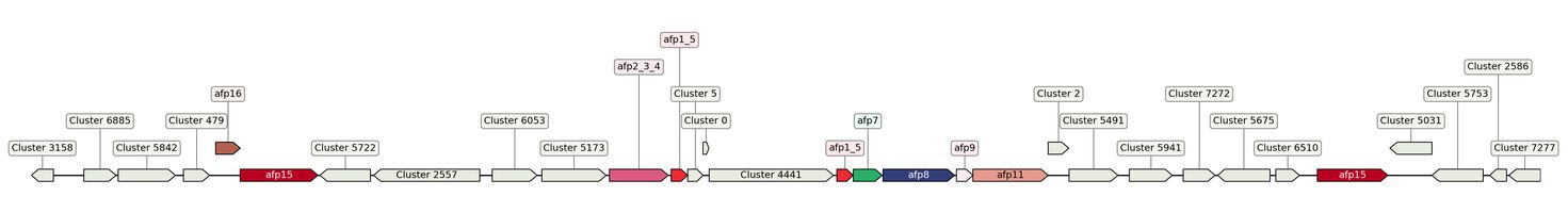 ecis_web_first_app/static_ims/operonID_1989.jpeg