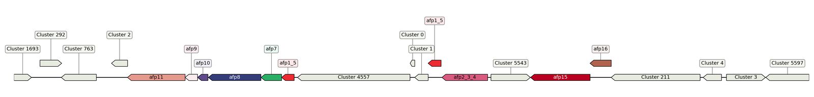 ecis_web_first_app/static_ims/operonID_19975.jpeg