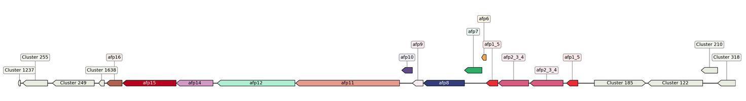 ecis_web_first_app/static_ims/operonID_20707.jpeg