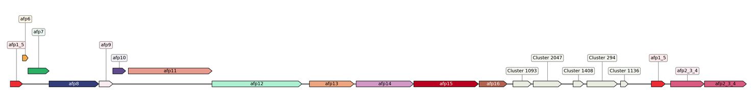 ecis_web_first_app/static_ims/operonID_20709.jpeg