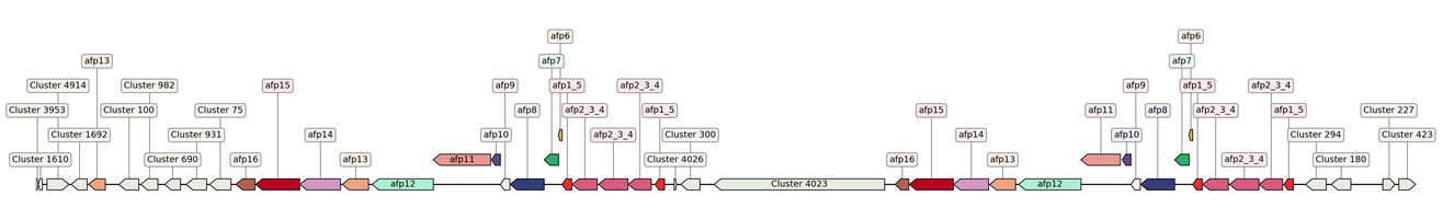 ecis_web_first_app/static_ims/operonID_20759.jpeg