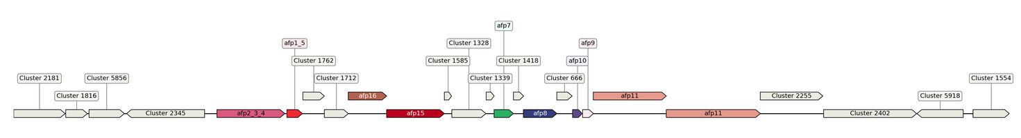 ecis_web_first_app/static_ims/operonID_21345.jpeg