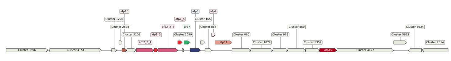 ecis_web_first_app/static_ims/operonID_21397.jpeg