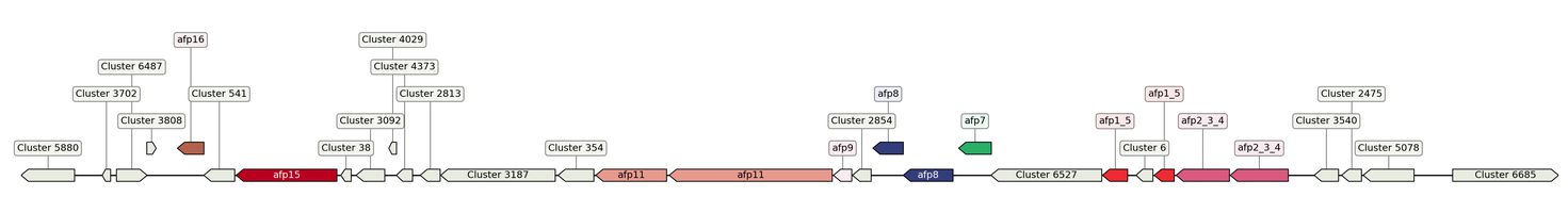 ecis_web_first_app/static_ims/operonID_21739.jpeg