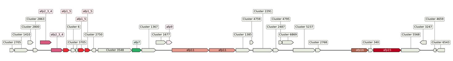 ecis_web_first_app/static_ims/operonID_21894.jpeg