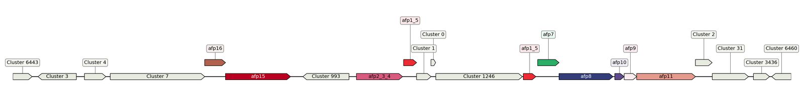 ecis_web_first_app/static_ims/operonID_25865.jpeg