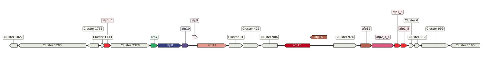 ecis_web_first_app/static_ims/operonID_28283.jpeg