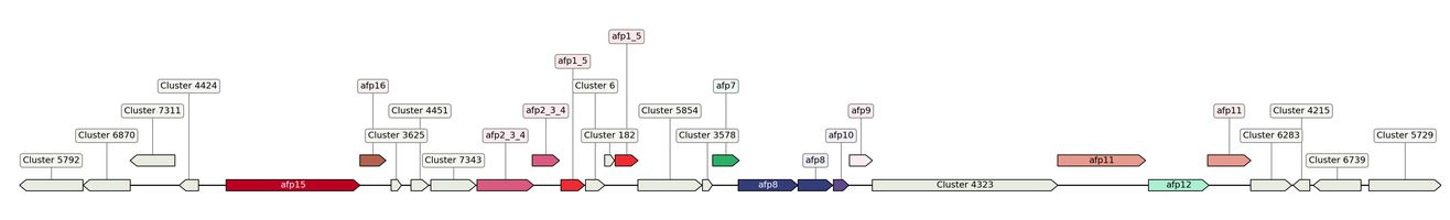 ecis_web_first_app/static_ims/operonID_28873.jpeg