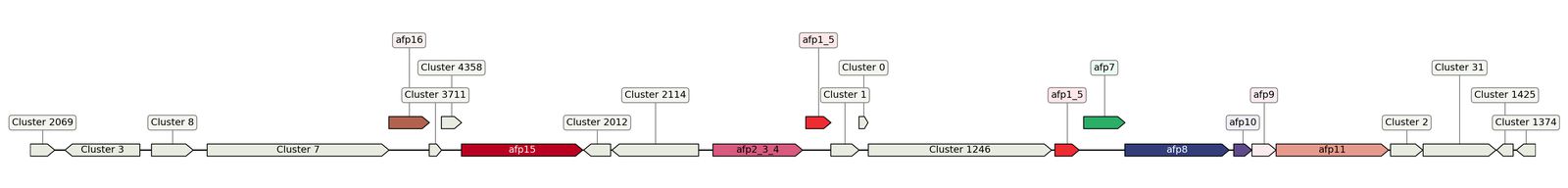 ecis_web_first_app/static_ims/operonID_31020.jpeg