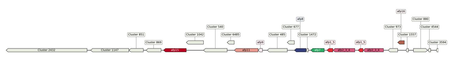 ecis_web_first_app/static_ims/operonID_3385.jpeg