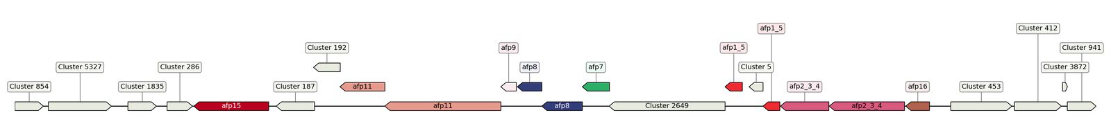 ecis_web_first_app/static_ims/operonID_35598.jpeg