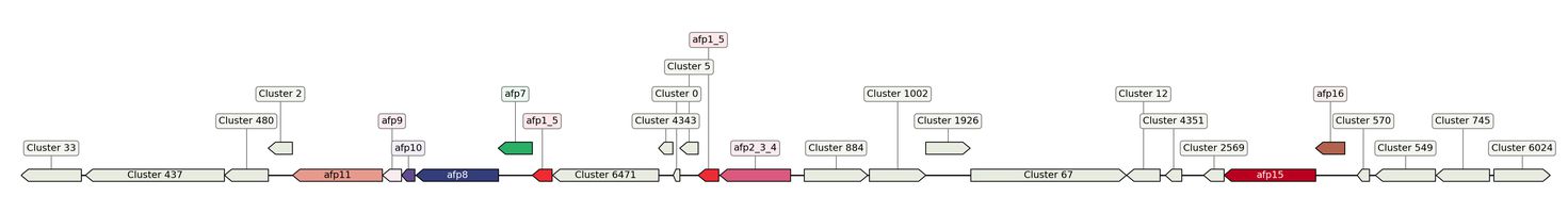 ecis_web_first_app/static_ims/operonID_36482.jpeg