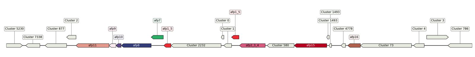 ecis_web_first_app/static_ims/operonID_39338.jpeg