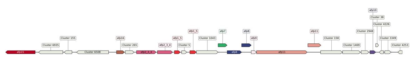 ecis_web_first_app/static_ims/operonID_3953.jpeg