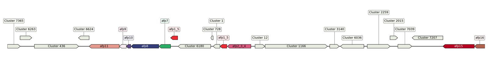 ecis_web_first_app/static_ims/operonID_40523.jpeg