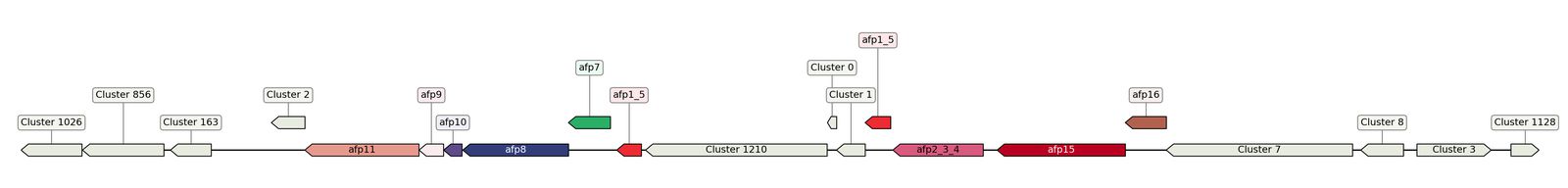 ecis_web_first_app/static_ims/operonID_42855.jpeg