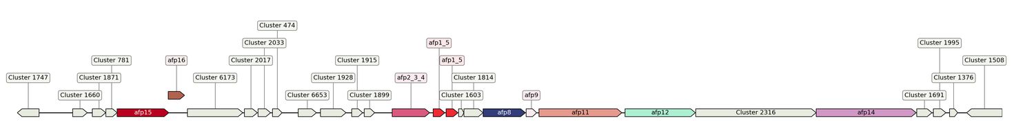 ecis_web_first_app/static_ims/operonID_43524.jpeg