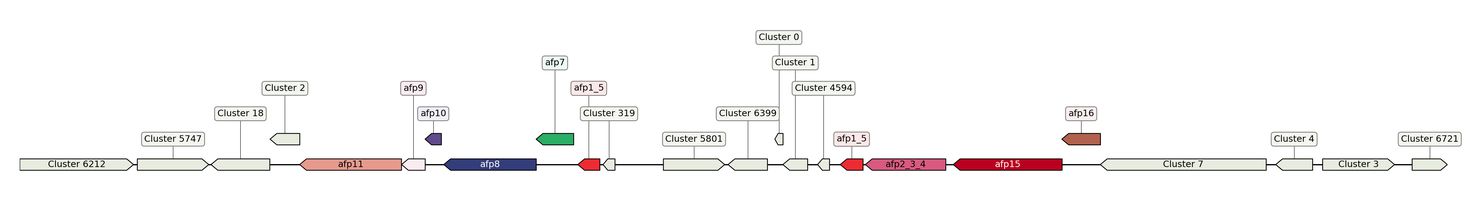 ecis_web_first_app/static_ims/operonID_45292.jpeg